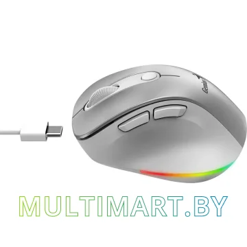 Мышь Genius Ergo 9000S Pro (серебристый) картинка 4